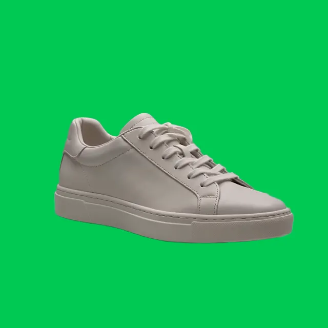Apply Solid Studio Colors or Green Screens — Background removed